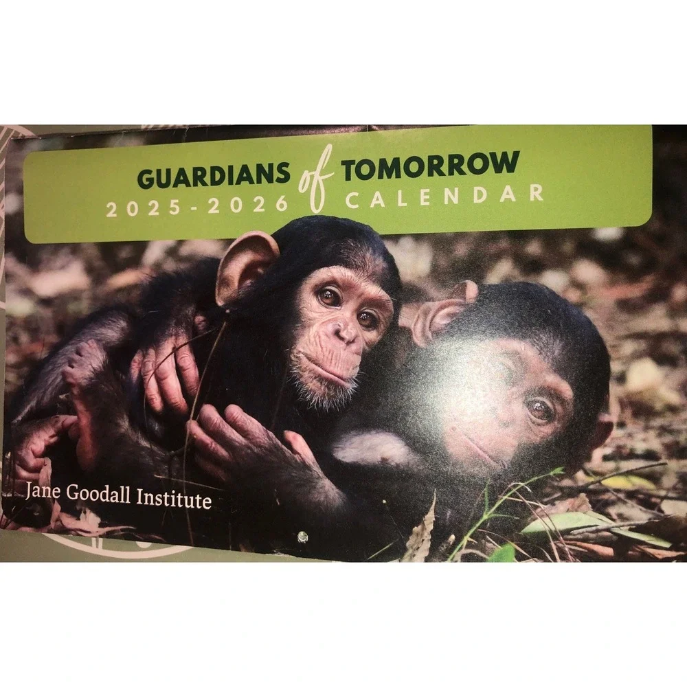 Jane Goodall Institute Apes & Chimps - 2026 SMALL Wall Calendar 17 Months NEW